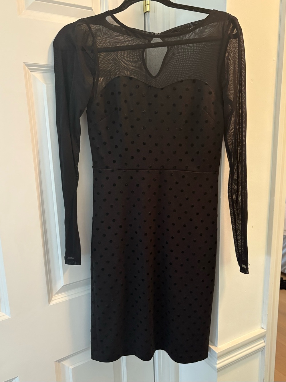 The Limited Black Sheer Dot-Overlay Long Sleeve Dress